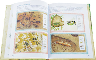 Кто вылупился из яйца? 5