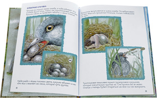 Кто где живет? 2