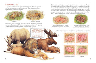 Мамы и малыши 3