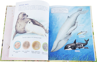 Мамы и малыши 4