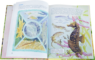 Мамы и малыши 5