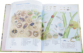 Мамы и малыши 6