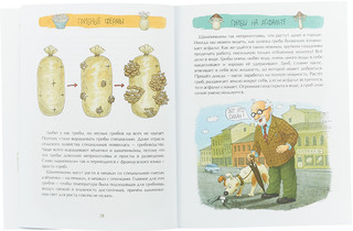 Грибное царство 3