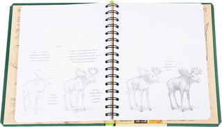 Sketchbook. Рисуем животных. Экспресс-курс рисования 4