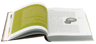 Байки из грота. 50 историй из жизни древних людей 5