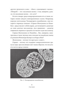 Мифы о микробах и вирусах: как живет наш внутренний мир 9