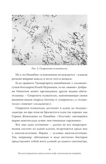 Мифы о микробах и вирусах: как живет наш внутренний мир 10