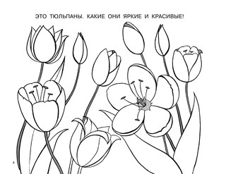 Подарок для девочек. Большой альбом раскрасок 6