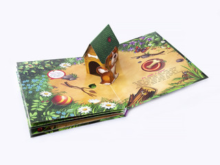 Тук-тук. Кто где живет (книжка-панорамка) 3