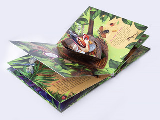 Тук-тук. Кто где живет (книжка-панорамка) 4