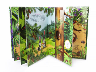 Тук-тук. Кто где живет (книжка-панорамка) 5