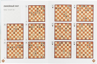 Шахматная школа. Второй год обучения. Рабочая тетрадь 2