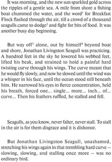 Jonathan Livingston Seagull / Чайка по имени Джонатан Ливингстон 3