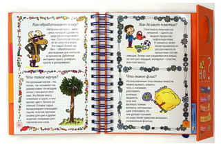 Как всё устроено? 6