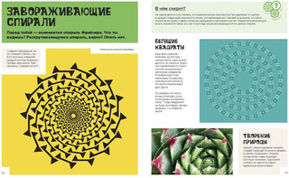 Оптические иллюзии. Как нас обманывает мозг 4