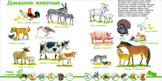 Мир животных 3