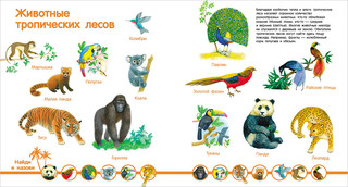 Мир животных 4