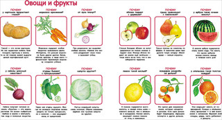 Мои первые ПОЧЕМУ? 2