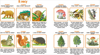 Мои первые ПОЧЕМУ? 3