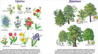 Первая книга малыша 2