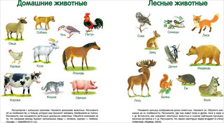 Первая книга малыша 3