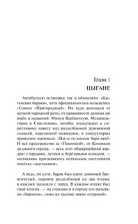 Наполеонов обоз. Книга 2. Белые лошади 7