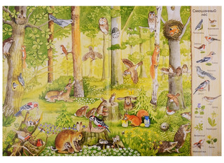 Большая книга о природе 3