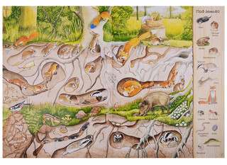 Большая книга о природе 4