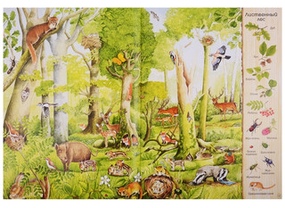 Большая книга о природе 5