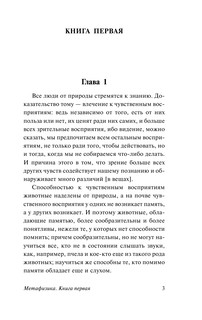 Метафизика 5