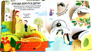 40 окошек. Откуда берутся дети 2