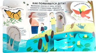 40 окошек. Откуда берутся дети 3