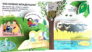 40 окошек. Откуда берутся дети 4