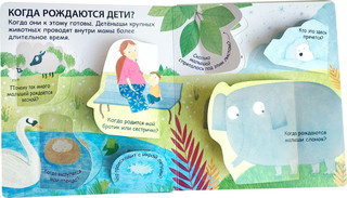 40 окошек. Откуда берутся дети 5