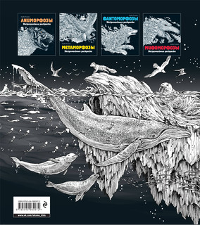 Геоморфозы. Экстремальные раскраски 2