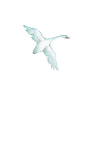 Про Бабу-Ягу. Стихи 4