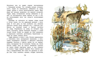 Арктур - гончий пёс 5