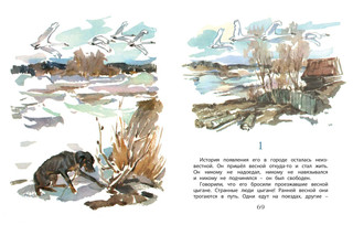 Арктур - гончий пёс 7