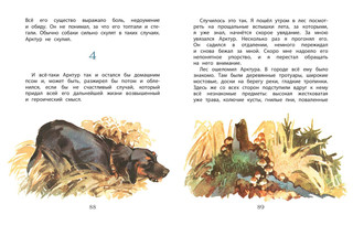 Арктур - гончий пёс 8