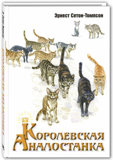 Королевская Аналостанка 1
