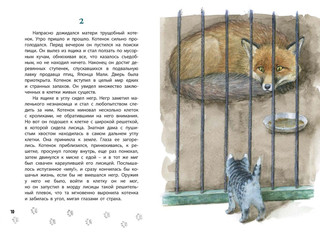 Королевская Аналостанка 4