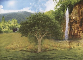 250 наклеек. Животные со всего света 2