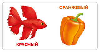 Книжки-картонки. Цвета в природе 2