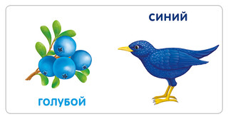 Книжки-картонки. Цвета в природе 3