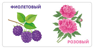 Книжки-картонки. Цвета в природе 4