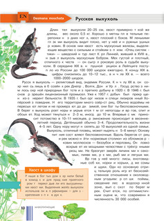 Красная книга мира 11