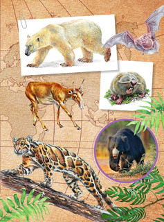 Красная книга мира 6