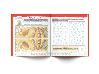 Тренируй свой мозг 3