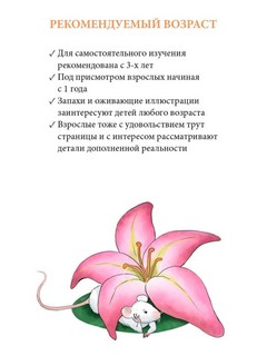 Дневник кошки Баси 4
