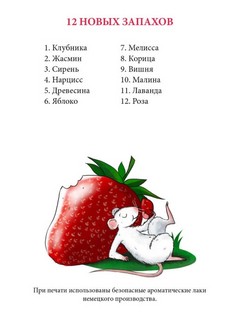 Дневник кошки Баси 7